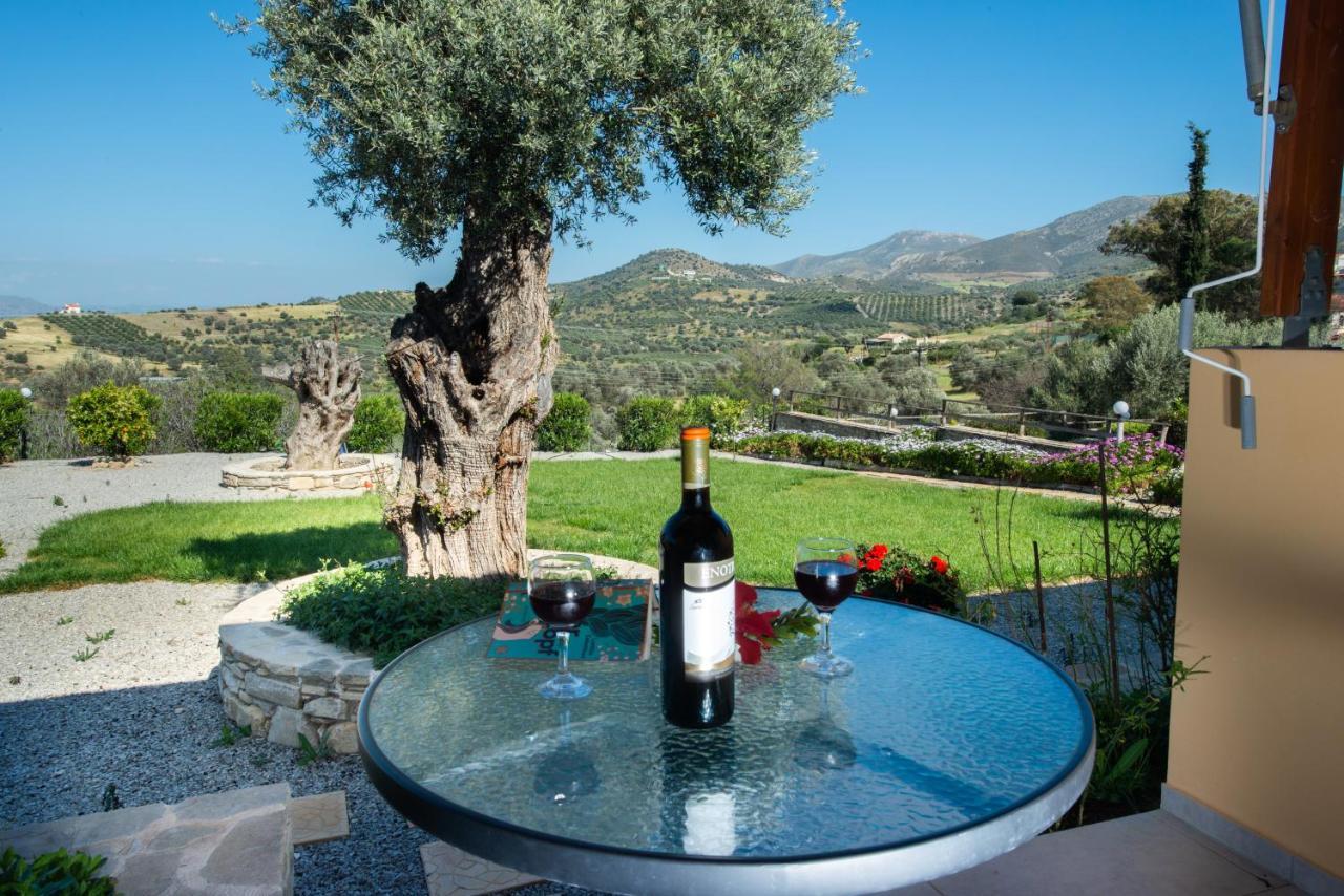 Sivas Apartments-Studios,Sigelakis With Very Nice View Buitenkant foto