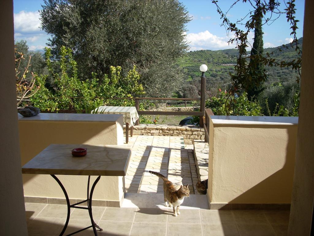 Sivas Apartments-Studios,Sigelakis With Very Nice View Buitenkant foto